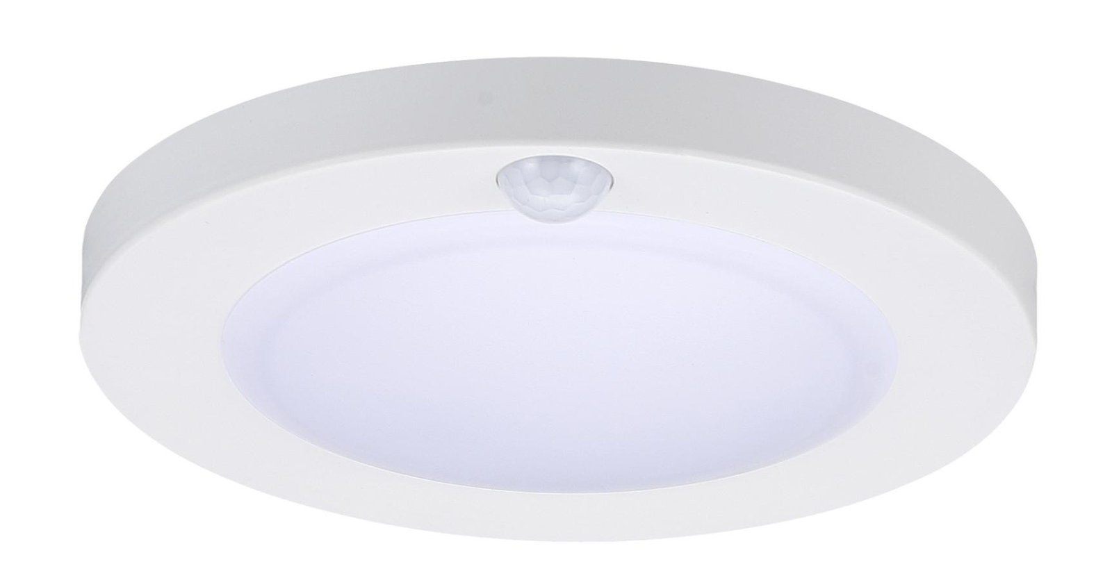 LCL00307I12N